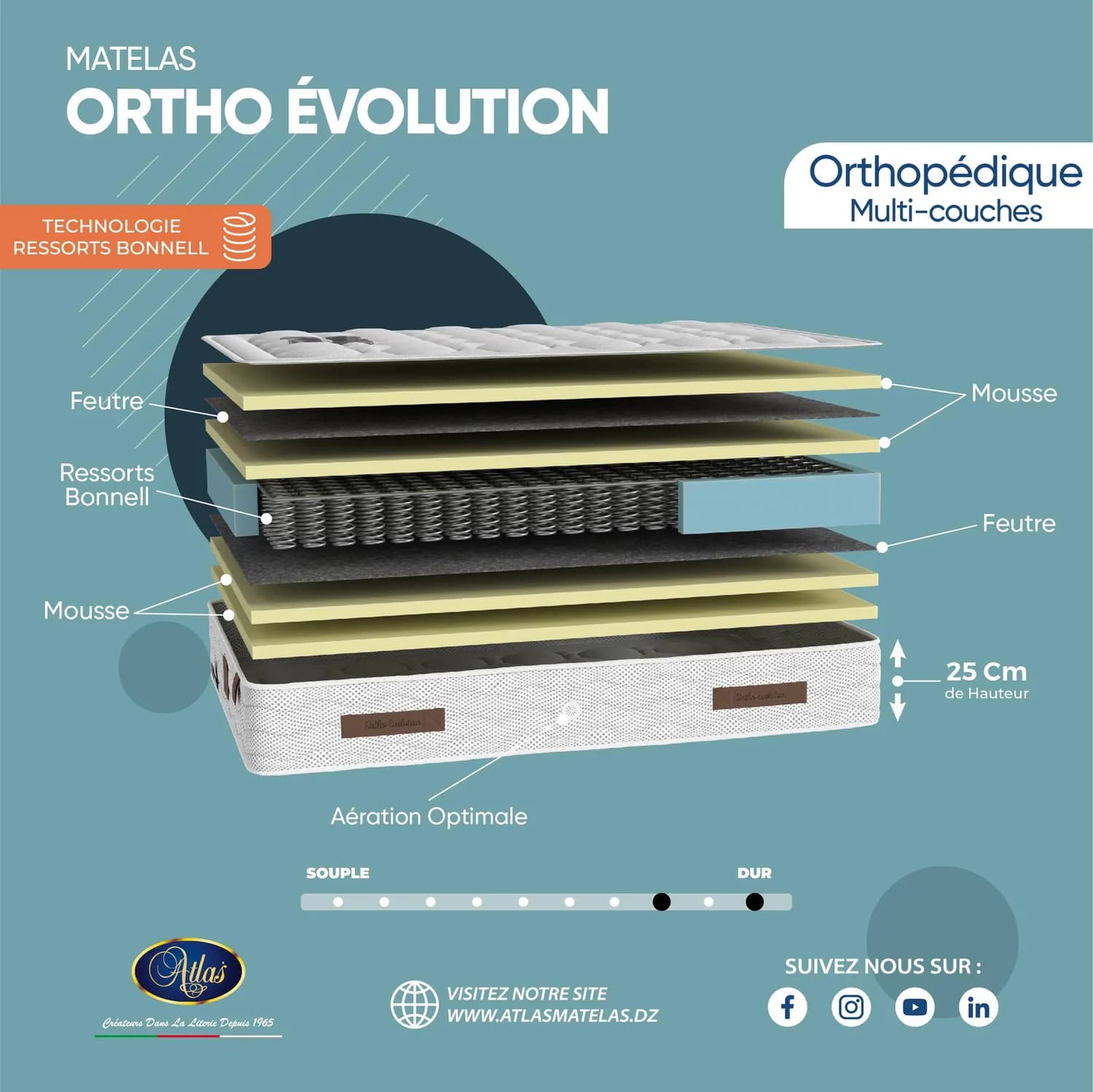 Ortho Évolution 2