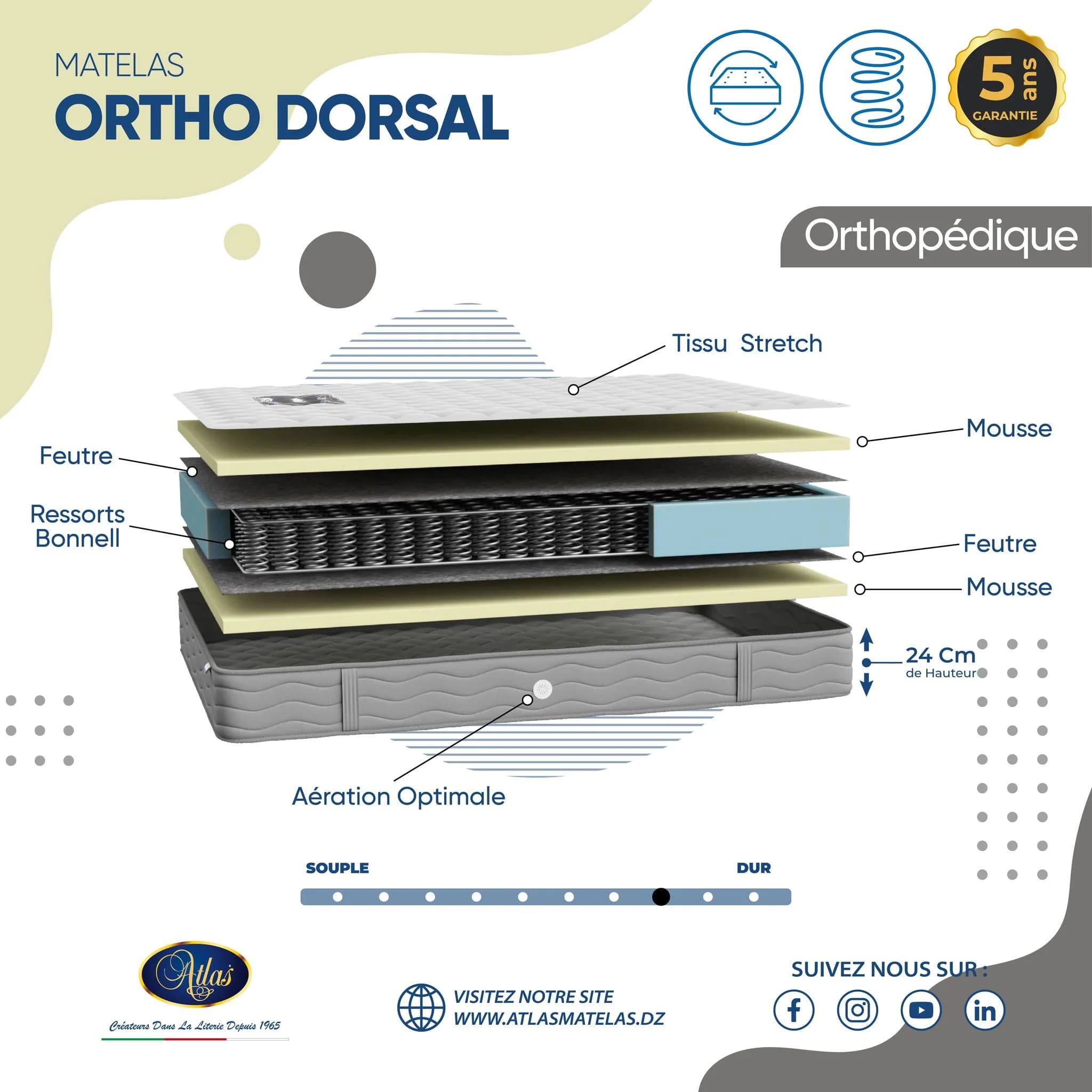 Ortho Dorsal 2